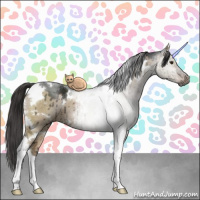 Horse Color:Gray White Spotted Liver Red Dun Ice Tobiano Brindle 