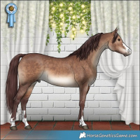 Horse Color:Chocolate Brown Dun 