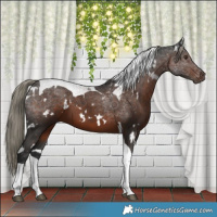 Horse Color:White Spotted Liver Chestnut Mushroom Tobiano 
