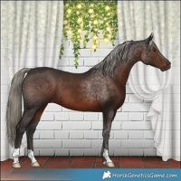 Horse Color:Liver Chestnut Mushroom 