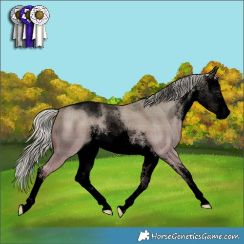 Horse Color:Void Plaid  White Spotted Chocolate Palomino Dun 