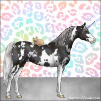 Horse Color:White Spotted Midnight Chocolate Silver Blue Onyx Chinchilla Ice Sabino