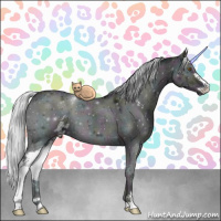 Horse Color:Midnight Silver Grullo Chinchilla Ice Onyx Sabino Brindle 