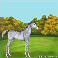 Horse Color:Painted Silver Grullo Chinchilla Ice Onyx Sabino Rabicano Brindle 