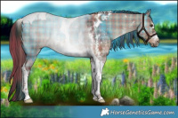 Horse Color:Plaid  Liver Red Dun Sabino Tobiano 