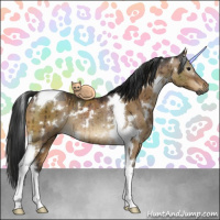 Horse Color:Gray White Spotted Buckskin Dun Tobiano Rabicano Brindle 