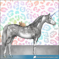 Horse Color:Platinum White Spotted Silver Buckskin Dun Sabino Brindle 
