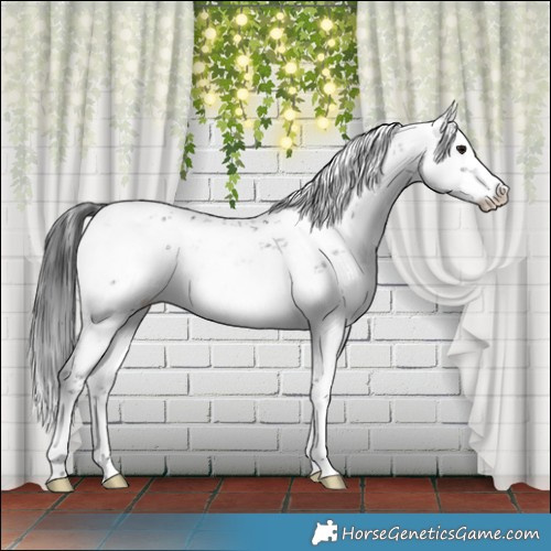 Horse Color:Platinum White Spotted Brown Sabino