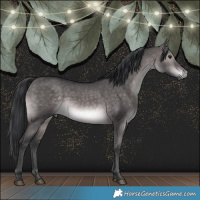 Horse Color:Platinum Brown Dun 