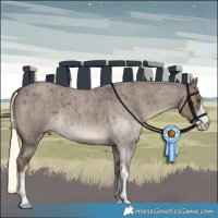 Horse Color:White Spotted Liver Red Dun Roan Mushroom