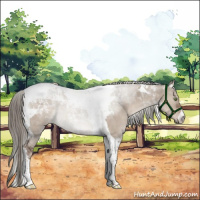 Horse Color:Liver Red Dun Roan Mushroom Tobiano 