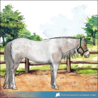 Horse Color:Liver Red Dun Roan Mushroom Tobiano 