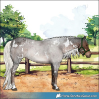 Horse Color:White Spotted Liver Red Roan Mushroom 