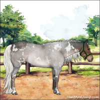 Horse Color:White Spotted Liver Red Roan Mushroom 