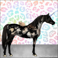 Horse Color:Void White Spotted Liver Red Onyx Sabino Brindle