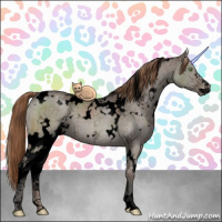 Horse Color:Void White Spotted Liver Red Dun Ice Sabino Brindle 
