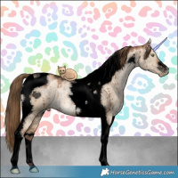 Horse Color:Void Liver Red Dun Pearl Tobiano Brindle