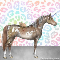 Horse Color:White Spotted Liver Red Dun Sabino Brindle 