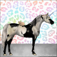 Horse Color:Void Chocolate Silver Grullo Pearl Sabino Tobiano Brindle 