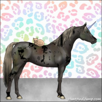 Horse Color:Void White Spotted Liver Chestnut 