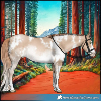 Horse Color:White Spotted Liver Red Dun Pearl Sabino