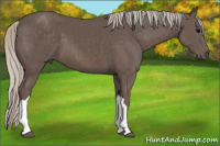 Horse Color:Silver Black