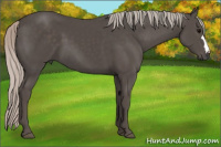 Horse Color:Silver Black 