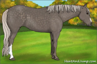 Horse Color:Silver Black 