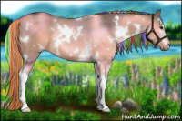 Horse Color:Painted White Spotted Liver Red Dun 