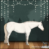 Horse Color:Perlino Dun