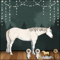 Horse Color:Perlino Dun Splash 