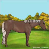 Horse Color:Silver Black 