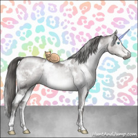 Horse Color:Gray Platinum White Spotted Buckskin Pearl Dun Sabino Brindle 