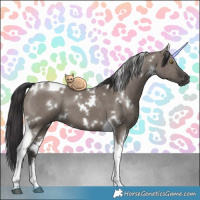 Horse Color:White Spotted Smoky Grullo Tobiano Brindle 