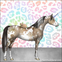 Horse Color:Gray White Spotted Brown Ice Pearl Dun Sabino Brindle