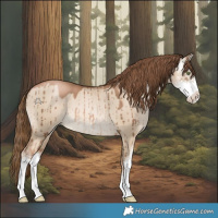 Horse Color:Liver Red Dun Pearl Sabino Brindle 