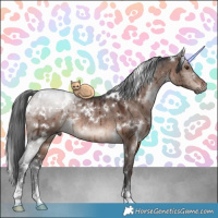Horse Color:White Spotted Brown Dun Mushroom Brindle
