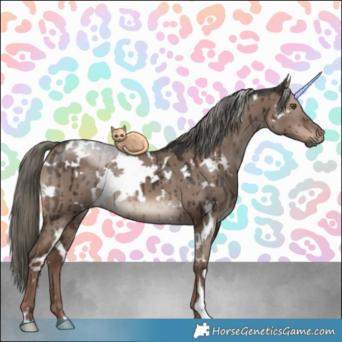 Horse Color:White Spotted Liver Red Dun Mushroom Brindle 