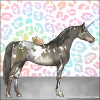 Horse Color:White Spotted Liver Red Dun Mushroom Brindle 