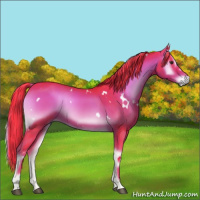 Horse Color:Watercolor White Spotted Liver Red Onyx Rabicano 