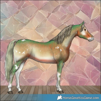 Horse Color:Watercolor White Spotted Chocolate Palomino Onyx