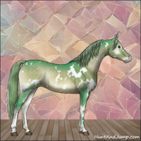 Horse Color:Watercolor White Spotted Chocolate Palomino Onyx 