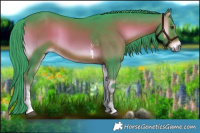 Horse Color:Watercolor Liver Red Onyx Sabino Rabicano 