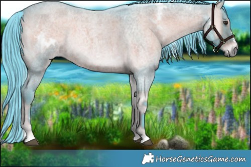 Horse Color:Watercolor White Spotted Liver Red Onyx Roan 