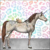 Horse Color:Gray White Spotted Liver Red Dun Ice