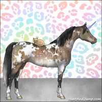 Horse Color:White Spotted Brown Dun Brindle