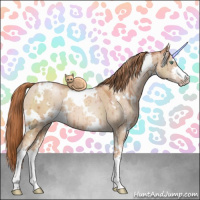 Horse Color:White Spotted Gold Champagne Dun Sabino Brindle