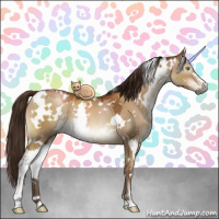 Horse Color:Gray White Spotted Brown Pearl Dun Sabino 