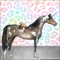 Horse Color:White Spotted Brown Dun Sabino Brindle 