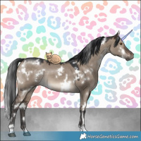 Horse Color:White Spotted Brown Dun 